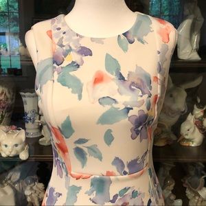 Calvin Klein size 4 Petite Watercolor Floral Dress